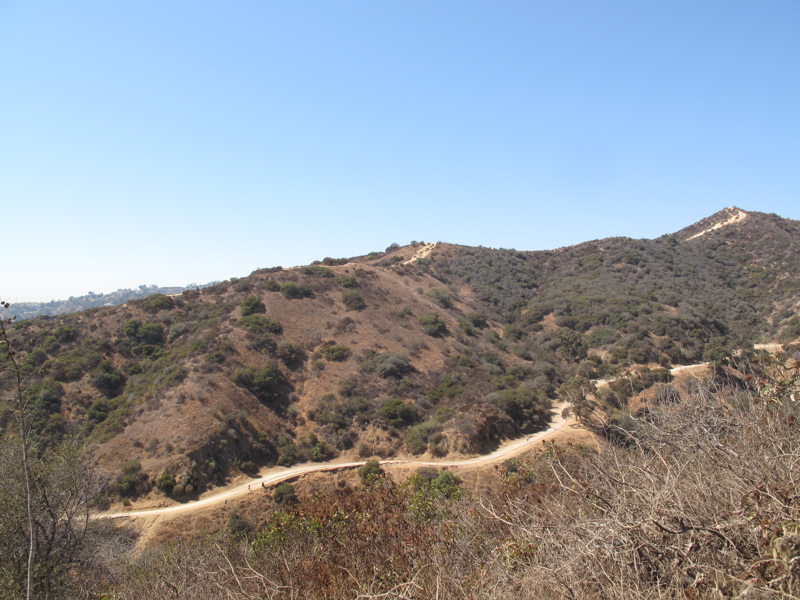 runyon-05