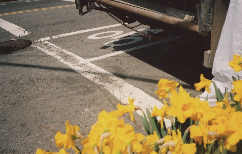 springfilm 14